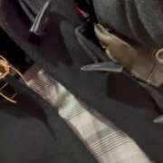 ヒメ日記 2025/06/04 16:58 投稿 倉木せりか Mrs. Dandy Shibuya