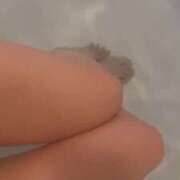 ヒメ日記 2025/06/05 07:51 投稿 倉木せりか Mrs.Dandy Kinshicho