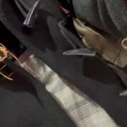 ヒメ日記 2025/01/16 14:15 投稿 倉木せりか Mrs. Dandy Shinjuku