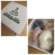 ヒメ日記 2026/01/29 18:37 投稿 倉木せりか Mrs. Dandy Shinjuku