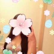 ヒメ日記 2025/04/08 23:51 投稿 黒木一紗（くろきかずさ） 姫路マダム大奥