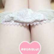 ヒメ日記 2025/04/29 15:17 投稿 黒木一紗（くろきかずさ） 姫路マダム大奥