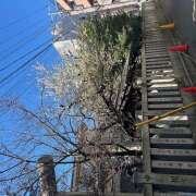 ヒメ日記 2025/03/09 10:16 投稿 ようこ 豊満熟女