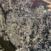 ヒメ日記 2025/04/04 19:38 投稿 ようこ 豊満熟女