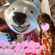 ヒメ日記 2025/11/18 16:48 投稿 ☆ななせ☆ 100％本人が来る店！！デリヘル『ロイヤルフラッシュ』