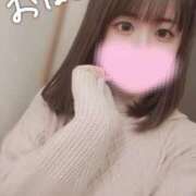 ヒメ日記 2024/12/15 11:31 投稿 マシロ マテリアル