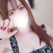 ヒメ日記 2025/08/19 11:31 投稿 マシロ マテリアル