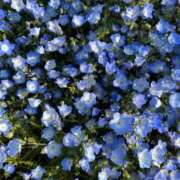 ヒメ日記 2025/05/28 23:46 投稿 ナナミ マテリアル