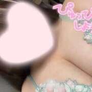 ヒメ日記 2025/04/01 10:22 投稿 のん 白いぽっちゃりさん