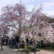 ヒメ日記 2025/04/08 21:32 投稿 のん 白いぽっちゃりさん