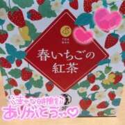 ヒメ日記 2025/04/26 22:12 投稿 のん 白いぽっちゃりさん