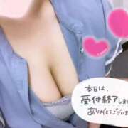 ヒメ日記 2025/08/17 15:31 投稿 のん 白いぽっちゃりさん