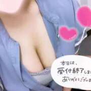 ヒメ日記 2026/06/07 10:58 投稿 のん 白いぽっちゃりさん