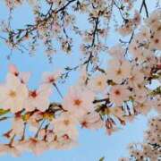 ヒメ日記 2025/04/10 23:21 投稿 めい 大奥 梅田店