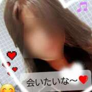 ヒメ日記 2025/02/20 09:40 投稿 ともみ 即トク奥さん