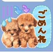 ヒメ日記 2025/03/11 08:50 投稿 ともみ 即トク奥さん