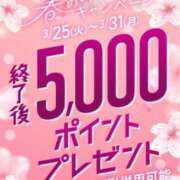 ヒメ日記 2025/03/24 18:30 投稿 ともみ 即トク奥さん