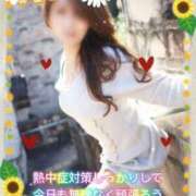 ヒメ日記 2025/07/30 08:10 投稿 ともみ 即トク奥さん