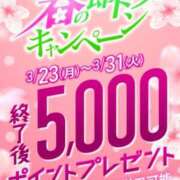 ヒメ日記 2026/03/24 07:00 投稿 ともみ 即トク奥さん