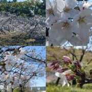 ヒメ日記 2026/03/27 21:50 投稿 ともみ 即トク奥さん