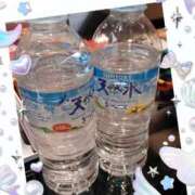 ヒメ日記 2026/03/29 06:50 投稿 ともみ 即トク奥さん