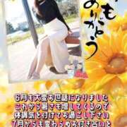 ヒメ日記 2026/07/03 00:28 投稿 ともみ 即トク奥さん