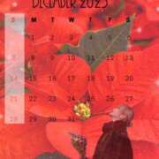 ヒメ日記 2025/11/26 18:01 投稿 はく めっちゃスイスク梅田店