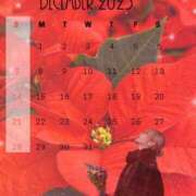 ヒメ日記 2025/12/22 21:01 投稿 はく めっちゃスイスク梅田店