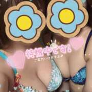 ヒメ日記 2025/01/14 00:29 投稿 あかぎ 山梨　デリヘル No.1 『Sコレクション』 甲府