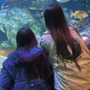 ヒメ日記 2025/03/21 17:27 投稿 しおり【２位】 LOVE MISSILE（ラブミサイル）