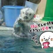 ヒメ日記 2025/05/15 10:27 投稿 しおり【２位】 LOVE MISSILE（ラブミサイル）