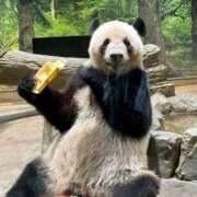 ヒメ日記 2025/06/27 08:47 投稿 しおり【２位】 LOVE MISSILE（ラブミサイル）