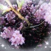 ヒメ日記 2025/03/14 22:44 投稿 あくあ ビデオdeはんど 町田校