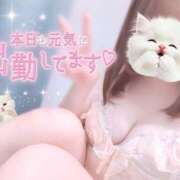 ヒメ日記 2026/07/14 13:37 投稿 あくあ ビデオdeはんど 町田校