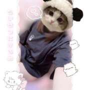 あくあ 涼しさと元気どっちも欲しい.ᐣ𐔌՞⁔•͈ ·̫ •͈⁔՞𐦯♡ ビデオdeはんど 町田校