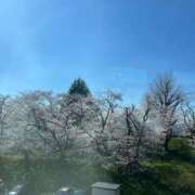 ヒメ日記 2025/04/04 21:10 投稿 ここ【１位】 LOVE MISSILE（ラブミサイル）