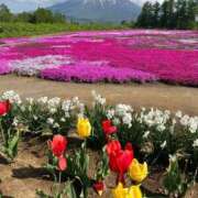 ヒメ日記 2025/05/30 08:27 投稿 ここ【１位】 LOVE MISSILE（ラブミサイル）