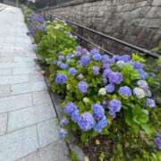 ヒメ日記 2025/06/28 07:57 投稿 ここ【１位】 LOVE MISSILE（ラブミサイル）