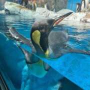 ヒメ日記 2025/07/03 16:57 投稿 ここ【１位】 LOVE MISSILE（ラブミサイル）