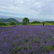 ヒメ日記 2025/07/16 10:57 投稿 ここ【１位】 LOVE MISSILE（ラブミサイル）