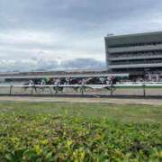 ヒメ日記 2025/07/27 12:27 投稿 ここ【１位】 LOVE MISSILE（ラブミサイル）