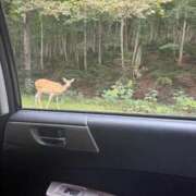 ヒメ日記 2025/08/20 08:37 投稿 ここ【１位】 LOVE MISSILE（ラブミサイル）