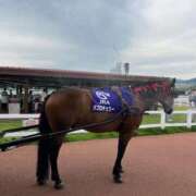 ヒメ日記 2025/09/10 15:57 投稿 ここ【１位】 LOVE MISSILE（ラブミサイル）