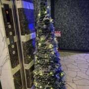 ヒメ日記 2024/12/10 20:25 投稿 ゆうか 待ちナビ