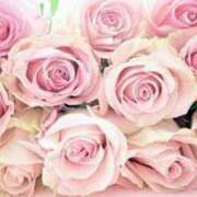 ヒメ日記 2024/12/21 12:25 投稿 ゆうか 待ちナビ