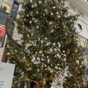 ヒメ日記 2024/12/24 10:35 投稿 ゆうか 待ちナビ