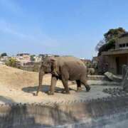 ヒメ日記 2025/01/25 10:27 投稿 ゆうか 待ちナビ