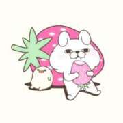 ヒメ日記 2025/03/22 14:33 投稿 ゆうか 待ちナビ