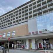 ヒメ日記 2025/04/19 11:35 投稿 ゆうか 待ちナビ