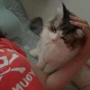 ヒメ日記 2025/05/14 11:15 投稿 ゆうか 待ちナビ